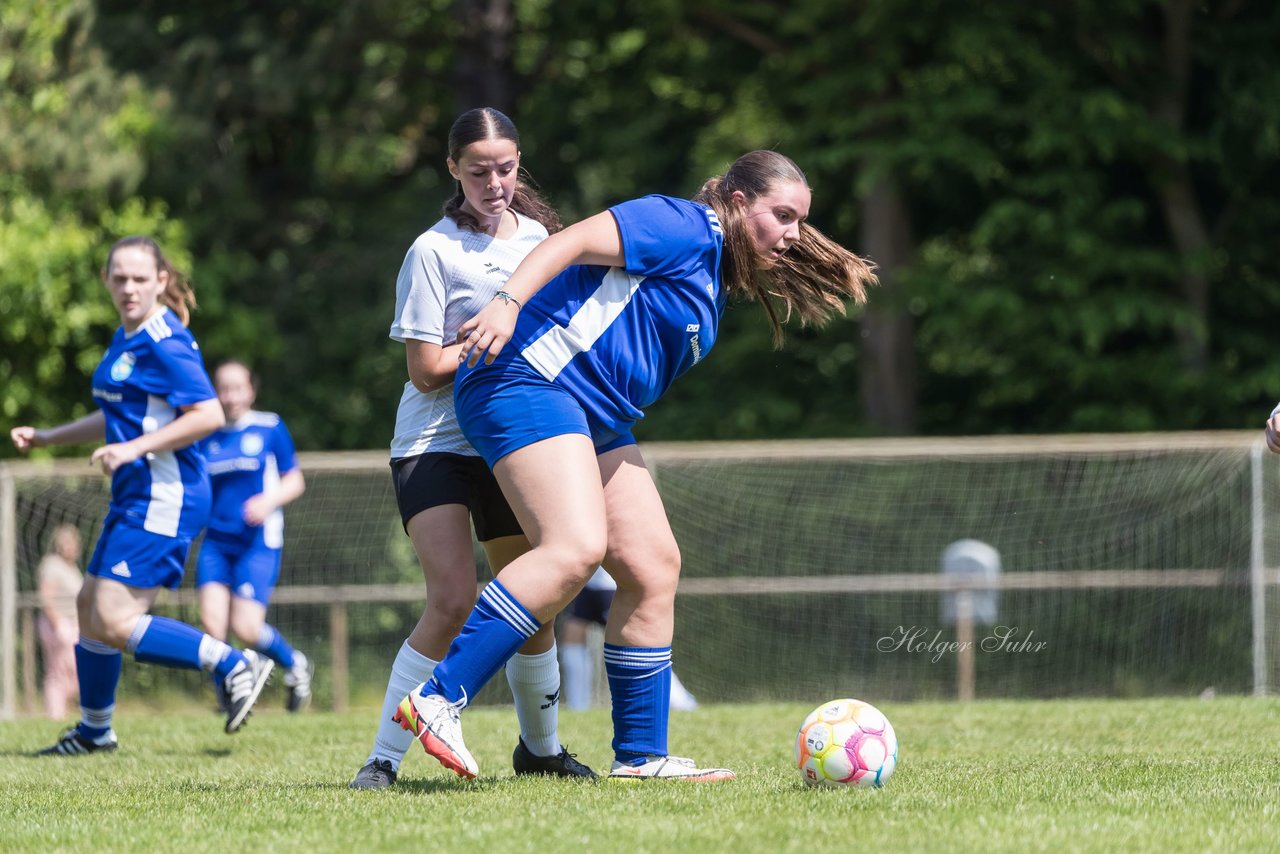 Bild 56 - wBJ VfL Pinneberg - Harksheide : Ergebnis: 2:1